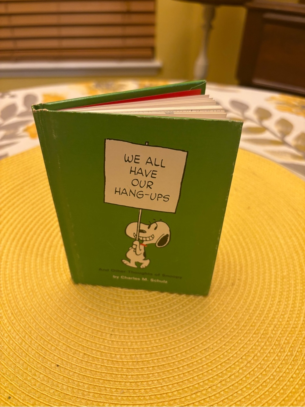 Snoopy 1969 Vintage Green 'We All Have Our Hang-Ups' Home Art Book Cover